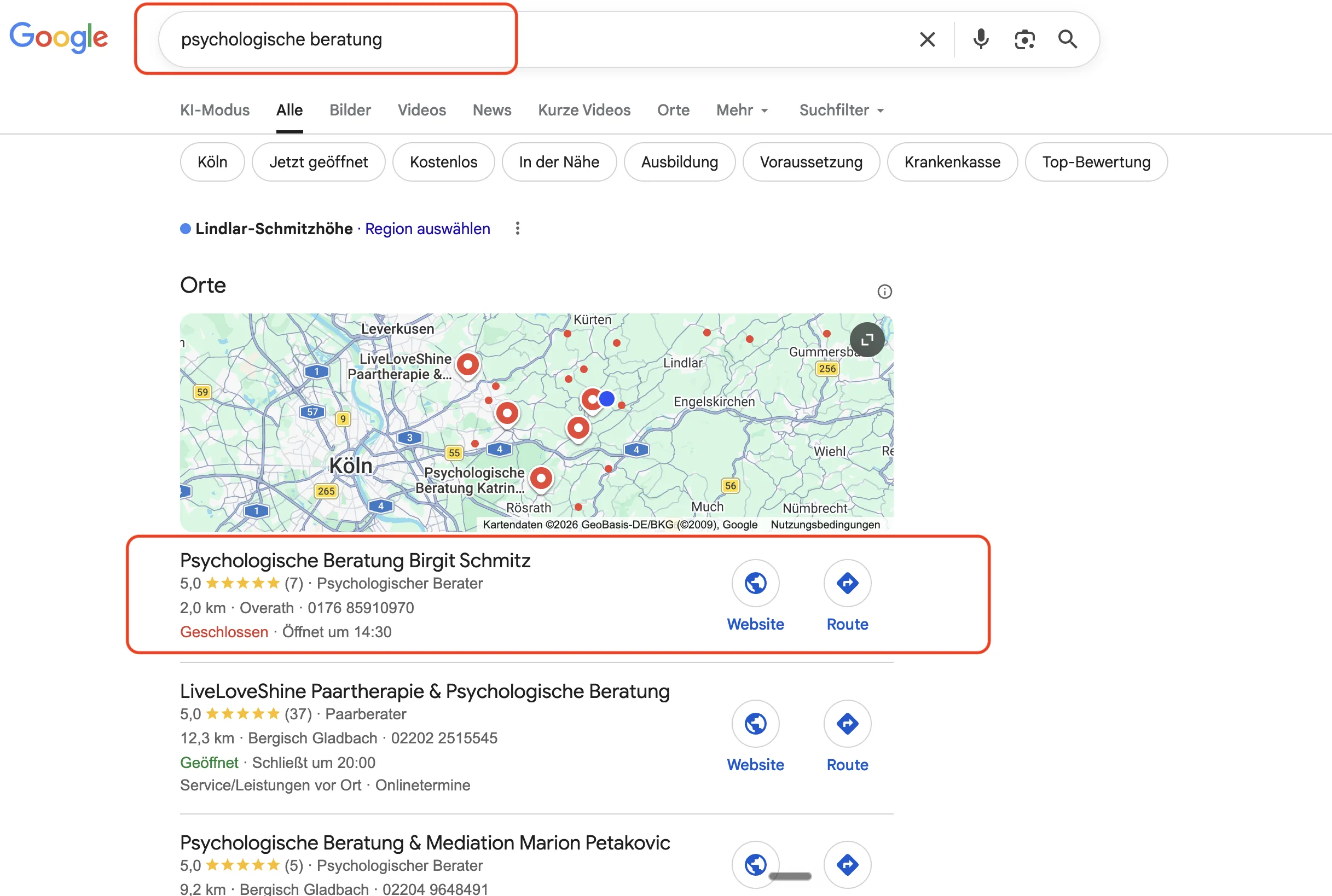 Leistungsübersicht eines Google-Unternehmensprofils mit den Berichten Aufrufe nach Plattform und Gerät sowie Suchanfragen aufschlüsseln